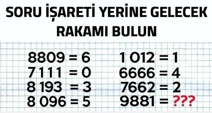 Resimdeki atların sayısını sosyal medyayı ikiye böldü! Sizce resimde kaç tane at var?