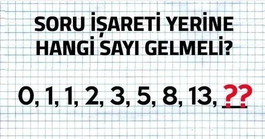 Resimdeki atların sayısını sosyal medyayı ikiye böldü! Sizce resimde kaç tane at var?