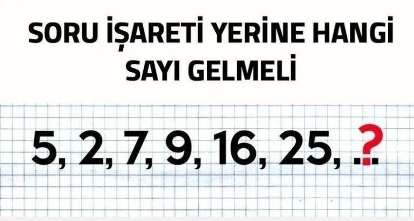 Resimdeki atların sayısını sosyal medyayı ikiye böldü! Sizce resimde kaç tane at var?