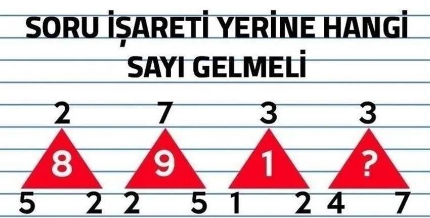Resimdeki atların sayısını sosyal medyayı ikiye böldü! Sizce resimde kaç tane at var?