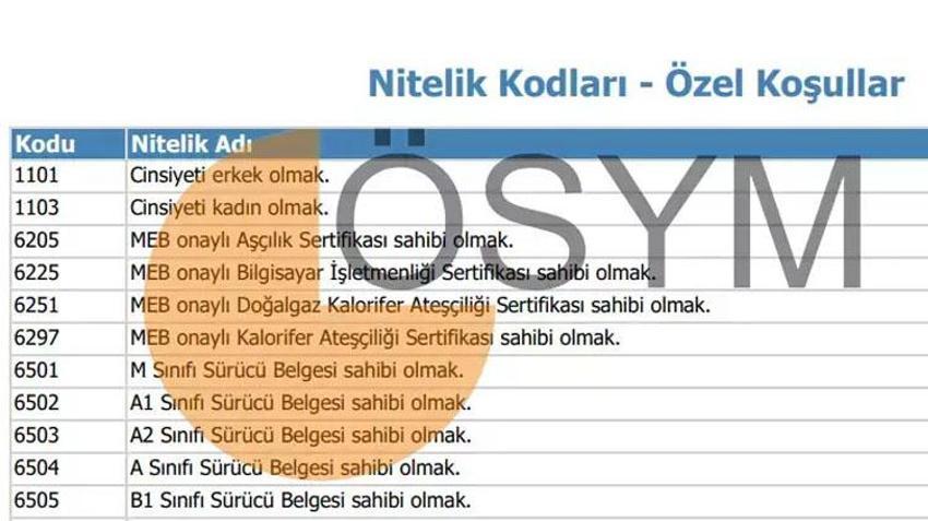 KPSS NİTELİK KODLARI 2023 | Lisans, önlisans, ortaöğretim için nitelik kodları ve 6225 nitelik kodu nedir? Tüm KPSS tercih nitelik kodları