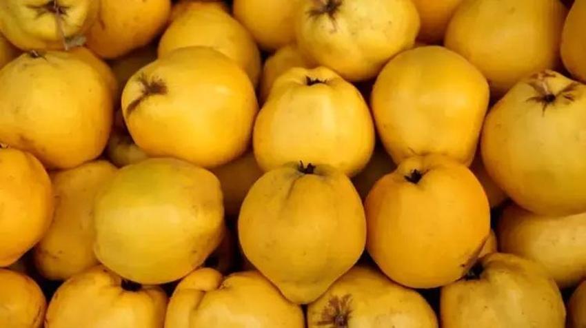 Yerken üzerine bir de limon sıkın: Kışın yiyeni ne grip yakalıyor, ne boğaz ağrısı!