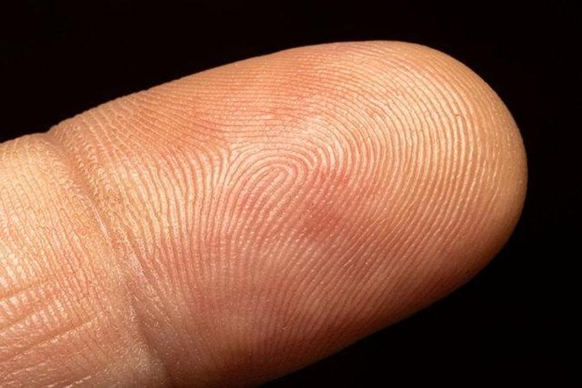 Neden parmak izimiz var? Tek bir teori var! İşte parmak izleri hakkında şaşırtıcı 5 bilgi