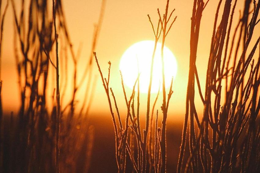 Soğuk kar kış derken Afrika sıcakları geliyor! Meteoroloji: Yılbaşında güneş açıyor! 25-31 Aralık hava durumu nasıl olacak?