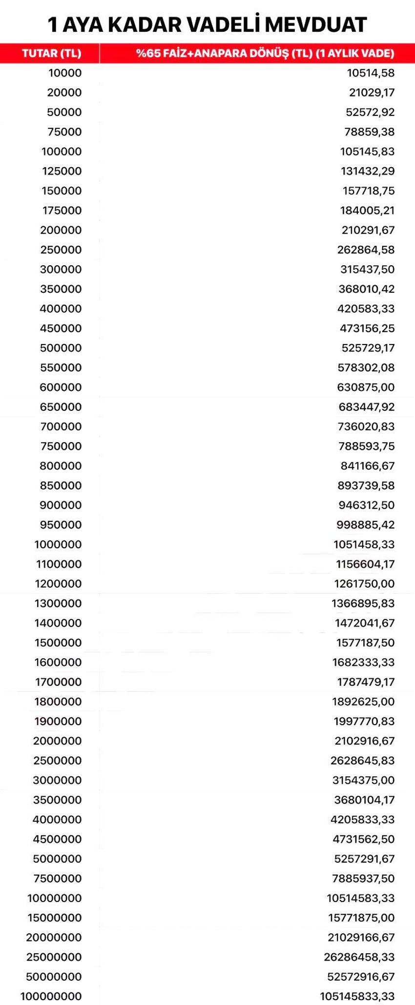 Parasını faize yatıranın kazancı katlanıyor! KKM hesaplarından dönüşlere yüzde 65 faiz, 100 bin TL 188 bin lira oluyor