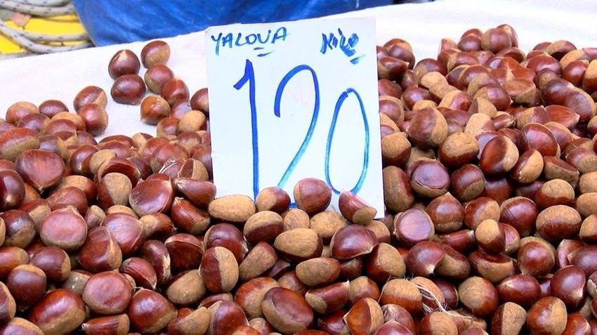 İstanbul pazarlarında kestane alarmı! Ucuz fiyatlı Çin kestanesi ile yerli kestane nasıl ayırt edilir? İşte aradaki fark...