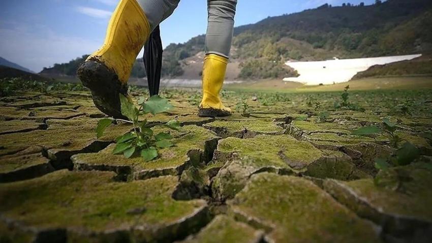2024 kehanetini şifreli şiirinde yazmış! Tsunami sonra kıtlık kapıda!  Hıristiyan dünyasında şok değişim olacak! 