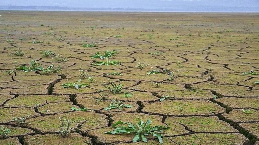 2024 kehanetini şifreli şiirinde yazmış! Tsunami sonra kıtlık kapıda!  Hıristiyan dünyasında şok değişim olacak! 