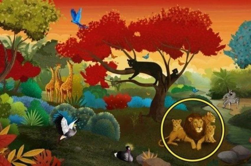 Bu resimde ilk ne gördüyseniz bastırılmış o duygunuzu ele veriyor!