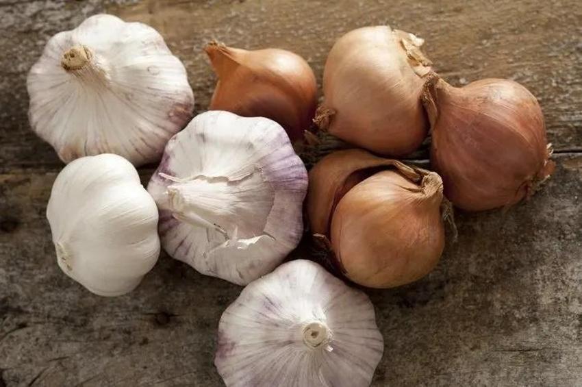 Soğanla birlikte tüketince etkisi 10 kat artıyor! İltihabu vücuttan kazıyor: Bu ikiliyle hastalık dayanmıyor!