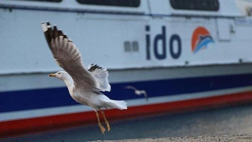 İDO, BUDO ve Şehir Hatları'nda seferler iptal: 9 Ocak iptal edilen vapur seferleri listesi...