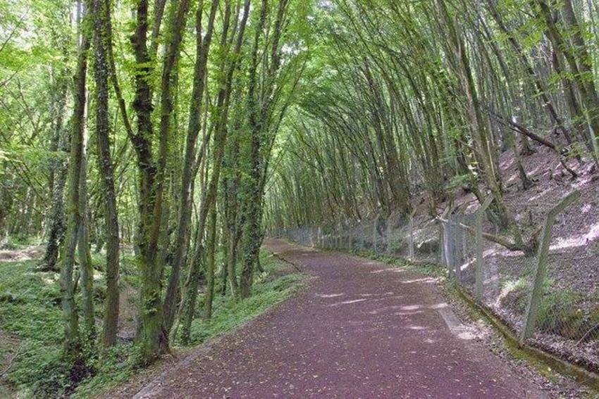 Sömestr geliyor: İstanbul'dan fazla uzaklaşmadan ailecek gidilecek yerler!