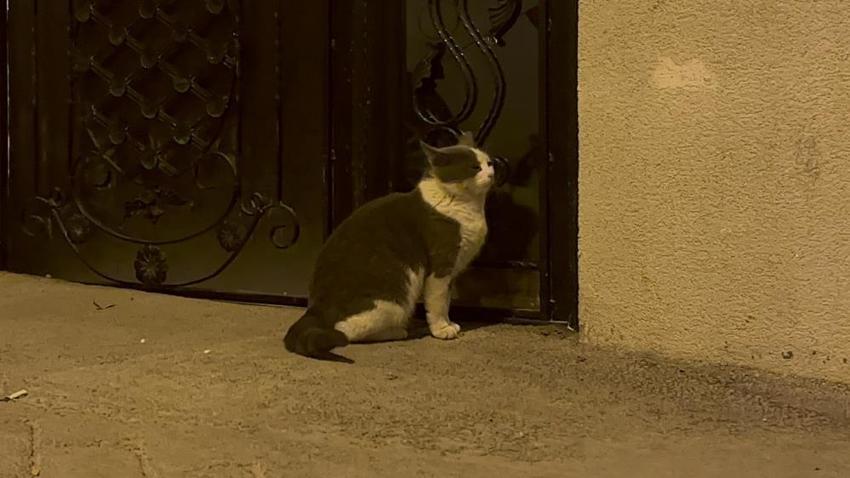 Memura tazminat müjdesi! Büyükşehirlerde yaşayanları kapsıyor, işte detaylar...