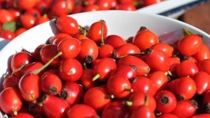 Soğuk algınlığıyla başlayan göğüs ağrısına bire bir! Günde 1 kaşığı dertlere şifa olacak