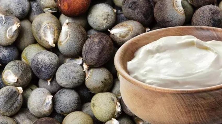 Yoğurt ile bamya ikilisi şifayı kat kat artıyor! Ne kireç kalıyor ne de stres