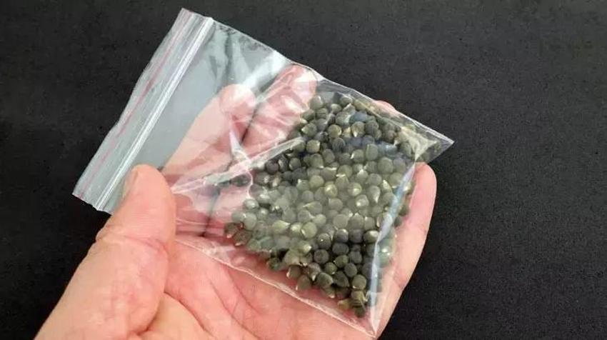 Yoğurt ile bamya ikilisi şifayı kat kat artıyor! Ne kireç kalıyor ne de stres