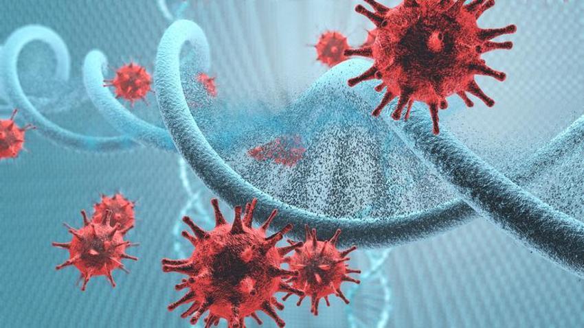 Zombi virüsü nedir, gerçek mi 2024? Yeni virüs mü çıktı 2024, Zombi virüsü Türkiye'de var mı, ne yapar?