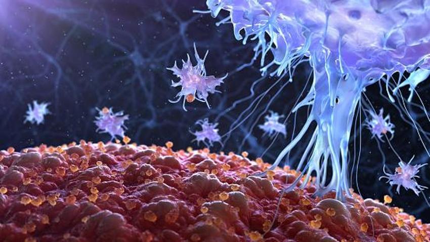 Kanser açıklaması: 2050’ye kadar 35 milyondan fazla yeni kanser vakası görülecek