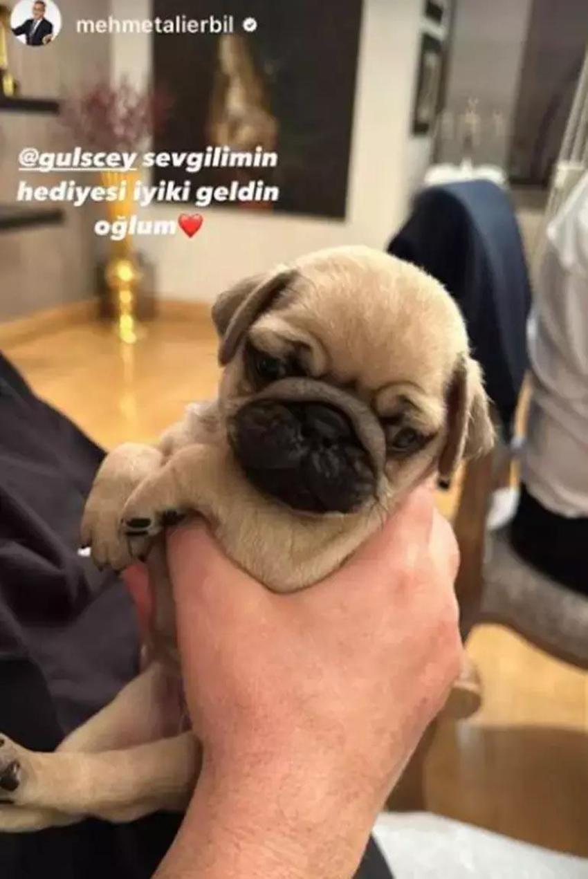 Mehmet Ali Erbil'in paylaştığı aşk pozu olay oldu! Gülseren Ceylan'ın yaptırdığı dövme sonrası yeni gündem...