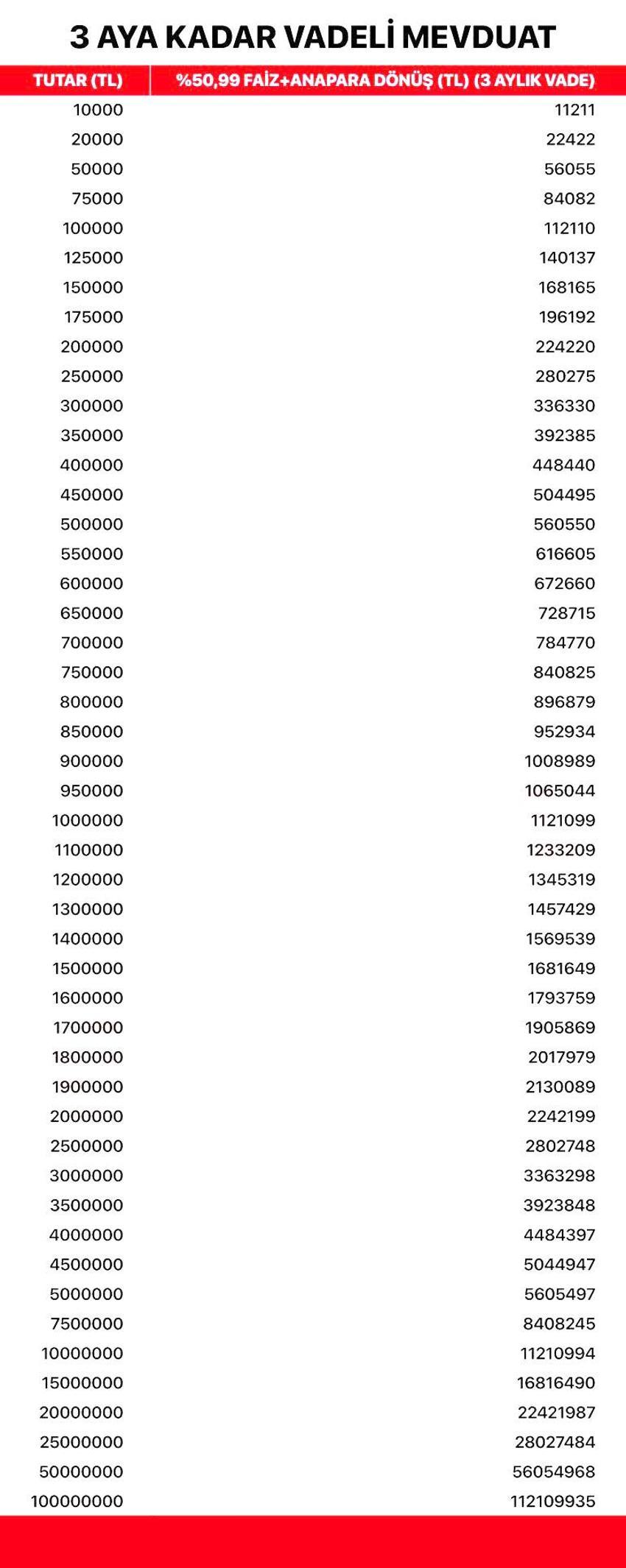 100 bin liraya 1 yılda 53 bin 890 lira faiz! Mevduat hesapları pik noktaya gözünü dikti