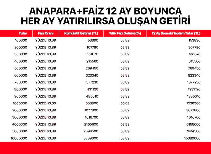 100 bin liraya 1 yılda 53 bin 890 lira faiz! Mevduat hesapları pik noktaya gözünü dikti