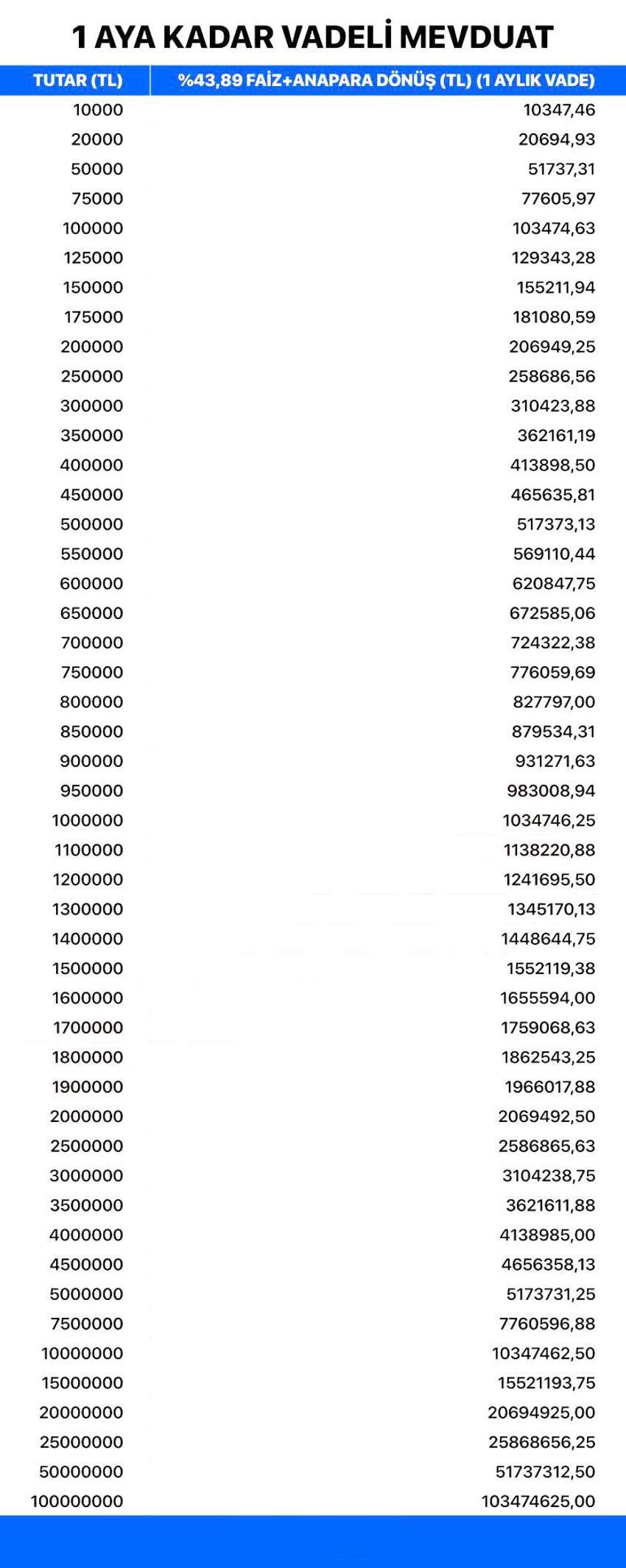 100 bin liraya 1 yılda 53 bin 890 lira faiz! Mevduat hesapları pik noktaya gözünü dikti