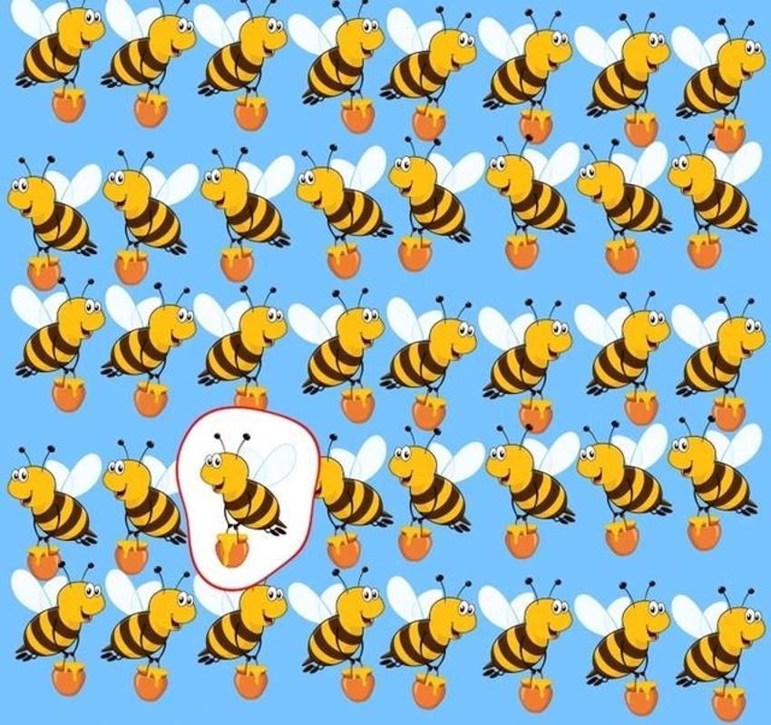 Dikkat ölçen test: Farklı olanı 5 saniyede bulan dahi sayılıyor!