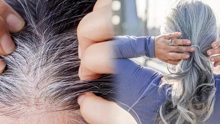 Saçlarınız yaş aldıkça beyazlaşmıyor: Yemeklerden bunları eksik etmeyin, sebum üretimi durmasın!