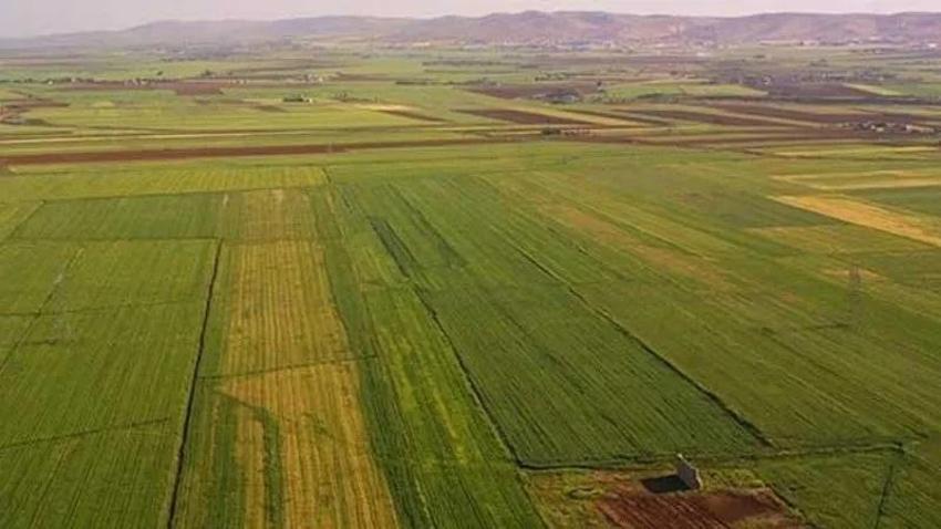 Arsa satışında bu fiyat görülmedi; KDV ve peşinat yok! 2500 TL teminatla arsa sagibi olabilirsiniz!