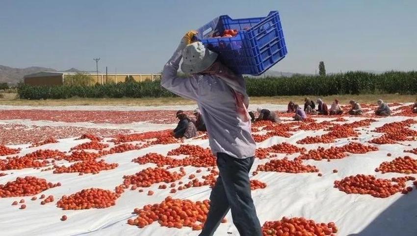 Tarım ve Orman Bakanlığı 1500 işçi alımını İŞKUR üzerinden alıyor! Tarım ve Orman Bakanlığı İŞKUR 1500 personel alım ekranı ve başvuru şartları...