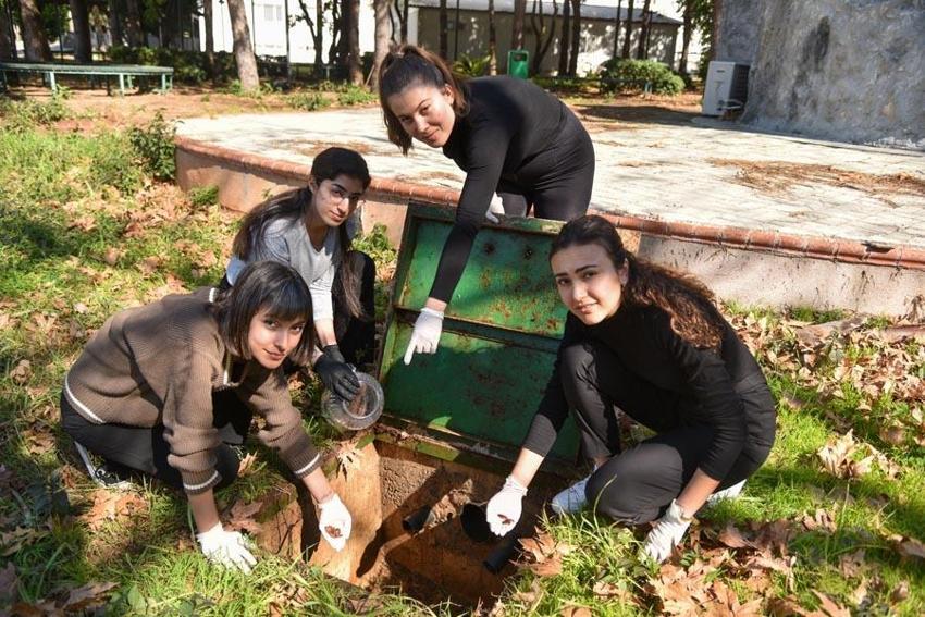 Çoğu kişinin korktuğu hamam böceklerini fosseptik ve rögardan elleriyle topluyorlar!
