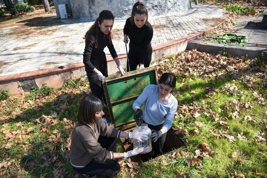 Çoğu kişinin korktuğu hamam böceklerini fosseptik ve rögardan elleriyle topluyorlar!