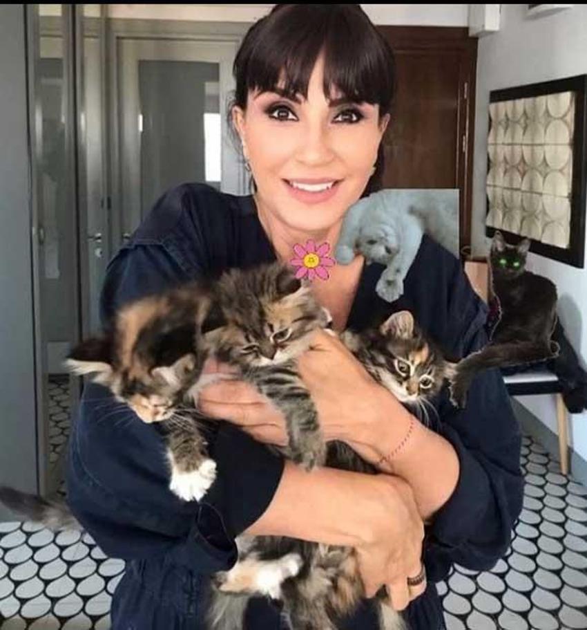 Ayşegül Aldinç'ten Ajda Pekkan itirafı! “Sezen ve diğerleri sonra gelir"