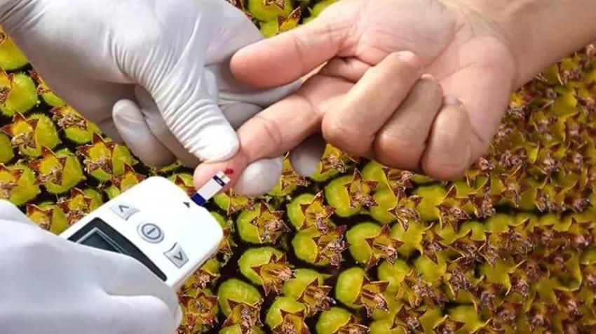 Tarladaki gizli şifa: Tiroidi olanlar avuç avuç yesin!