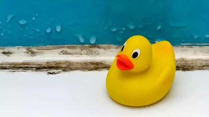Bu tüyoyu banyoda mutlaka kullanın: Küfü yok ediyor ama nasıl? İşin sırrı bezde!