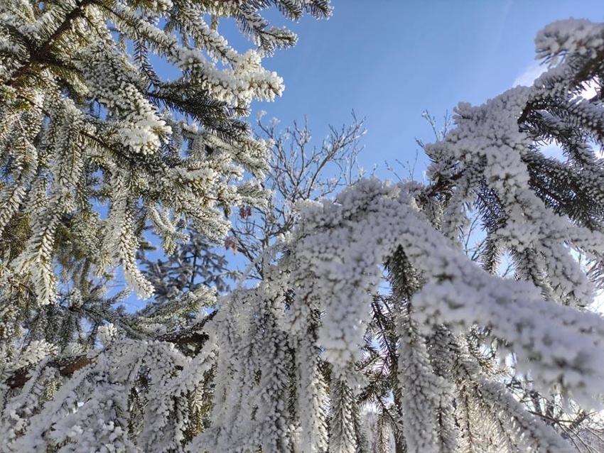 Türkiye'nin en soğuk ve en sıcak gün rekorları kıran illeri belli oldu! 53 yıllık Meteoroloji raporunda çarpıcı rakamlar ortaya çıktı