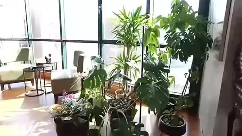 Ünlü şarkıcının 4+1 muhteşem evi! Boydan boya camla kaplı 