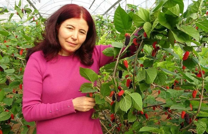 Karadut üreticisinin yüzünü güldürüyor! Kilo fiyatı açıklandı