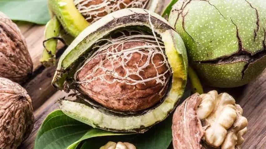 Damar tıkanıklığı sebebi yağı bir anda yok ediyor! Günde 5 adet yiyen kolestrol lafını bir daha ağzına almıyor