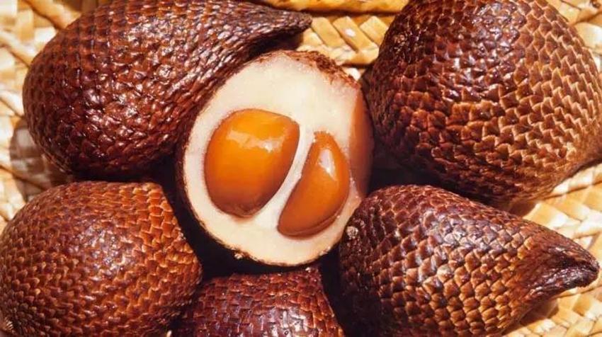 Japon işi bu meyve uzun yaşamın anahtarı: Türkiye'de var ancak kimse bilmiyor!