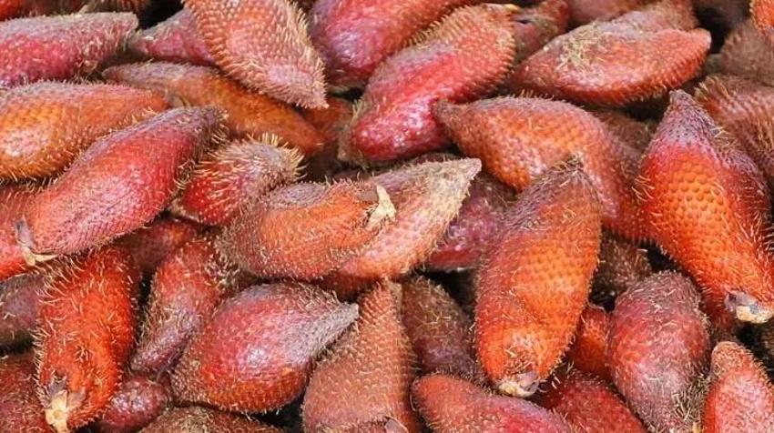 Japon işi bu meyve uzun yaşamın anahtarı: Türkiye'de var ancak kimse bilmiyor!