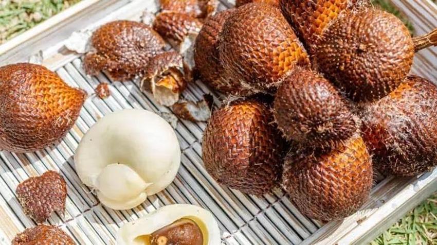 Japon işi bu meyve uzun yaşamın anahtarı: Türkiye'de var ancak kimse bilmiyor!