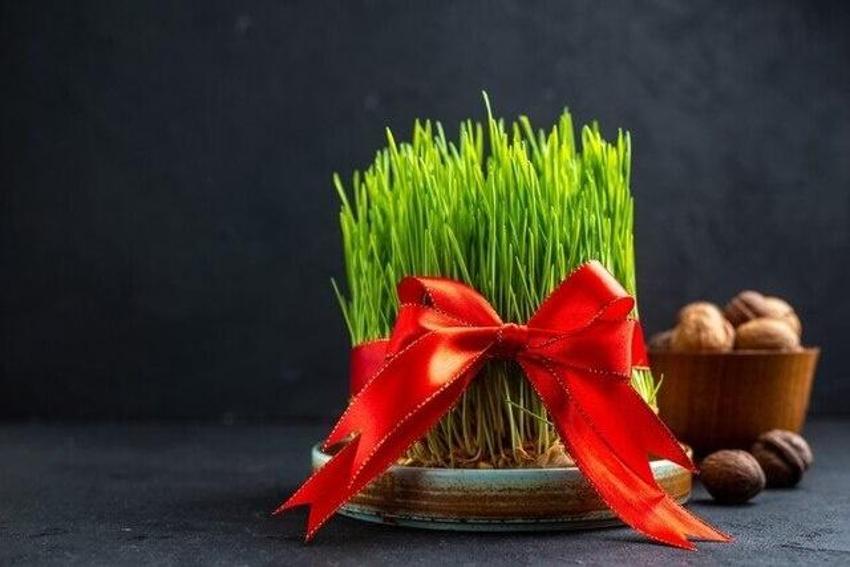 Bahar müjdesi Nevruz Bayramı'nın en yeni mesajları: Kır çiçekli, yazılı ve resimli Nevruz mesajları