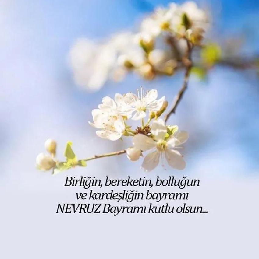 Bahar müjdesi Nevruz Bayramı'nın en yeni mesajları: Kır çiçekli, yazılı ve resimli Nevruz mesajları