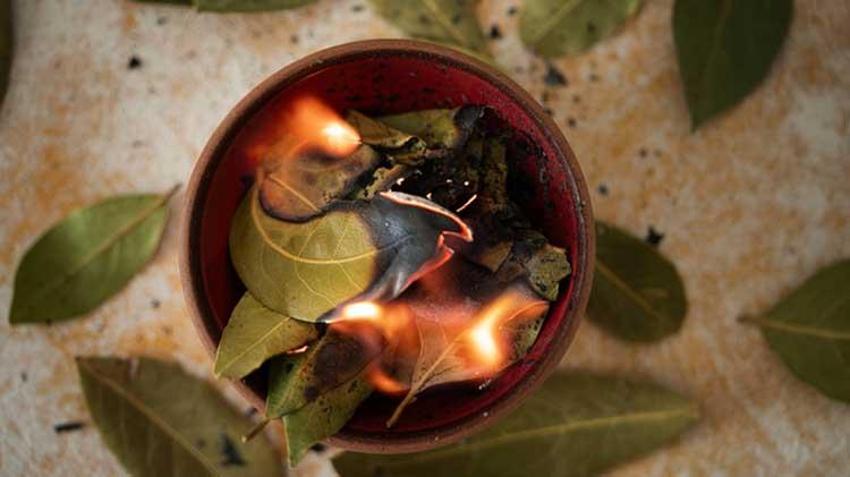 21 Mart ekinoks ritüelleri || 21 Mart'ta defne yaprağı yakmak ritüeli nasıl yapılır? İşte 21 Mart defne yaprağı ritüeli