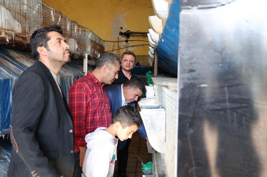 Etlik tavşanda ilk tabaklama çalışması başarıyla sonuçlandı! Üretime kazandırıldı