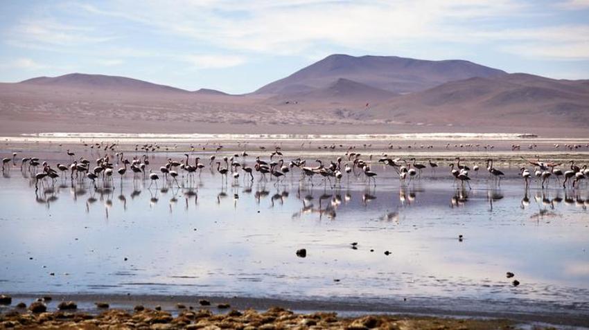 Türk edebiyatının mihenk taşı Adana yazın dünyasına ilham veriyor