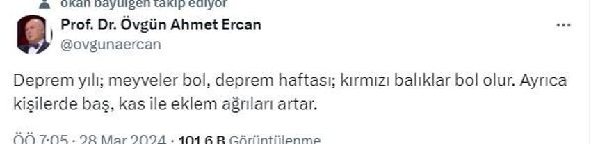 Prof. Dr. Ahmet Övgün Ercan'dan fal gibi deprem tahmini: Deprem olacak yıl bunlar olur!