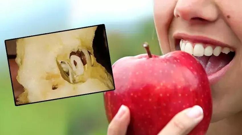 Elmayı ısıırdı, içindekini görünce gözlerine inanamadı! İlk bakan solucan sanıyor ama gerçek bambaşka...