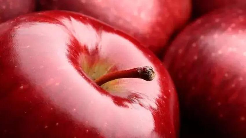 Elmayı ısıırdı, içindekini görünce gözlerine inanamadı! İlk bakan solucan sanıyor ama gerçek bambaşka...